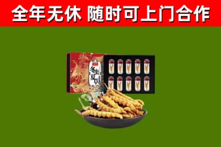 吉利区回收冬虫夏草价格