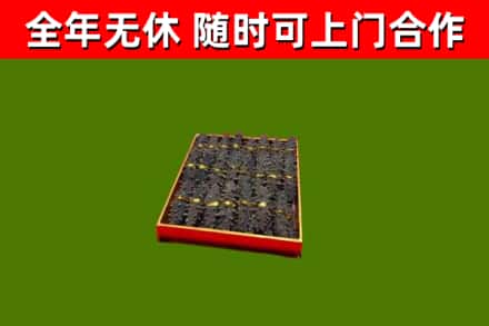 吉利区回收海参